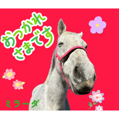 Retouch support_20260204143030