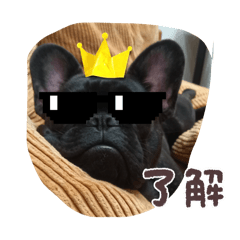 mr.sosuke_20260204164223