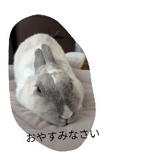 Kaoruko_20260204214514