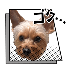 senbe_20260204223248