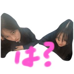 netko_20260204230234