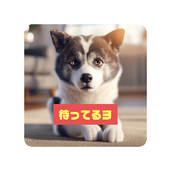 ike416_20260204231102