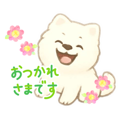 beruko888_20260204235310