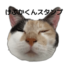 SuzuHaru_20260204230516