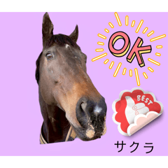 Retouch support_20260204150116