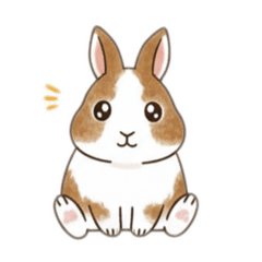 Seika_20260204150509