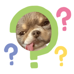 himari_20260204222938