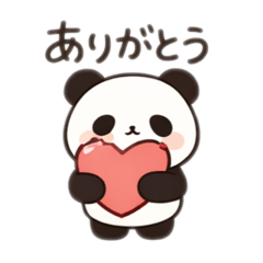 sachico_20260204152849