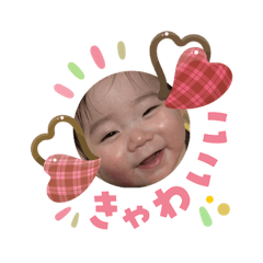 aina.bob_20260204172320