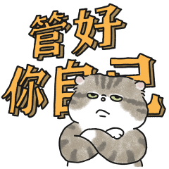 奶油小生有點鬧 (虎斑貓)