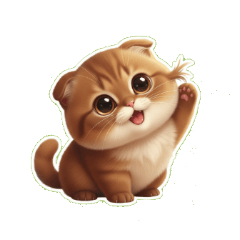 嚇到吃手手的大頭貓貓驚訝