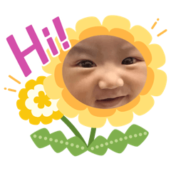 1-20 emoji_20260204132201