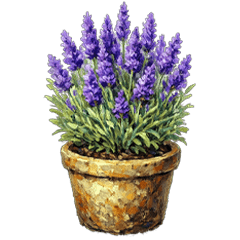 香草的片刻時光