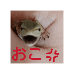 ARATA_20260204180632