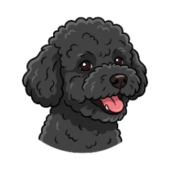 黑紅貴賓 - 日常生活