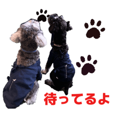 namman_20260204211401