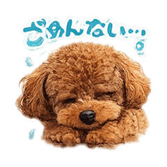 tom style_20260204211824