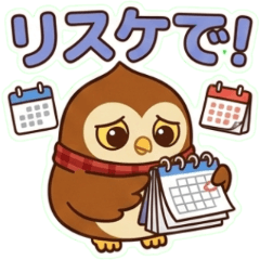 Oly Daily Work Companion part2