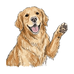 普段使い用ゴールデンレトリバーのスタンプ