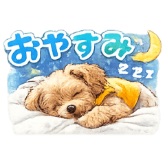 family_20260204121855