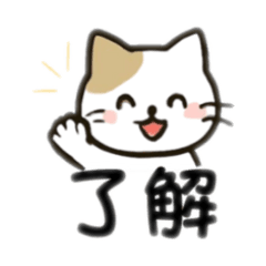 hazuny_20260204122844