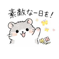 yamashikanai_20260204131205