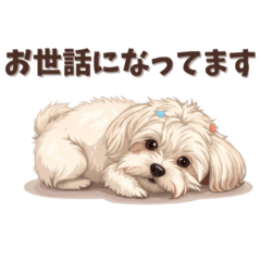 kimikimi_20260204133311