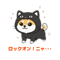 FuuTa_20260204142046