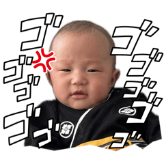 meiko_20260204134928