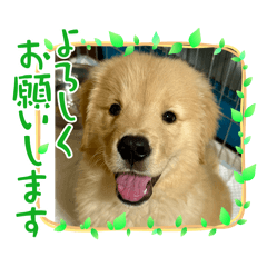 miryammsc_20260204162014