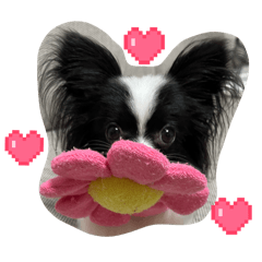 naoc1120_20260205022715