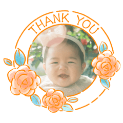 momoko_20260205032951