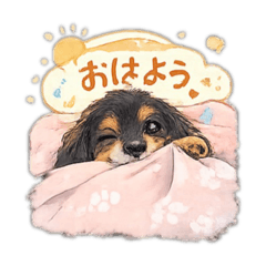 chimo_20260205023315