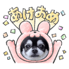 shkk01100306_20260205022726