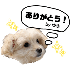 MAMAMA_20260204184350