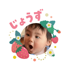 ponpo_20260204185312