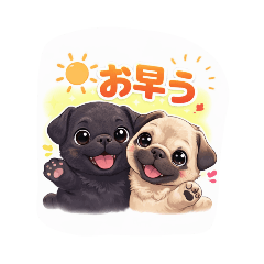 YUKIYAN_20260205090725