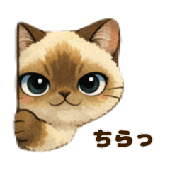 mayty_20260204141432