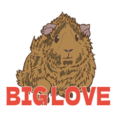 Brown Guineapig sticker 2026