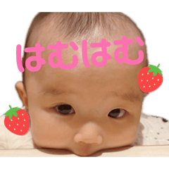 TAREKO_20260204232405