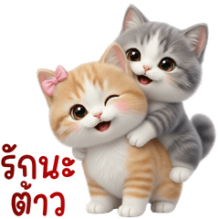 kitten were playfully teasing each other