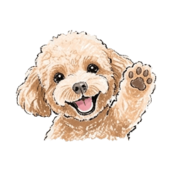 普段使い用に・トイプードルのスタンプ