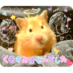 mui mui_20260204191218