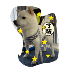 makoto_20260204192454