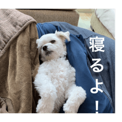 soccer_20260204193140