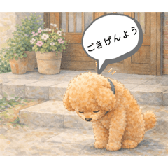 Jonorotz_20260204203910