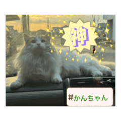 Kan-chan_20260204140821