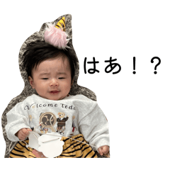 sayaka_20260204203941