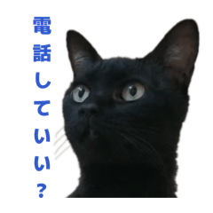 poe lovers_20260205075901