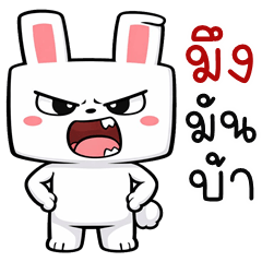 Square Bunny (THAI)